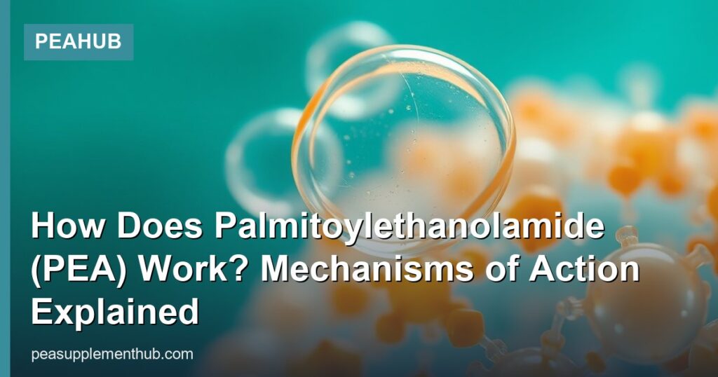 How Does Palmitoylethanolamide (PEA) Work? Mechanisms of Action Explained - PEAHub