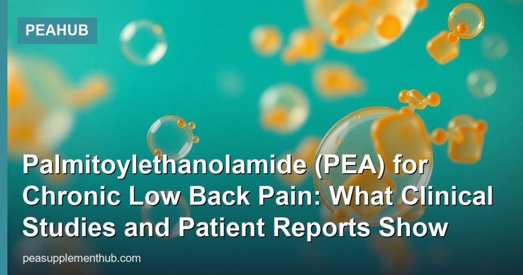 Palmitoylethanolamide (PEA) for Chronic Low Back Pain: What Clinical Studies and Patient Reports Show - PEAHub