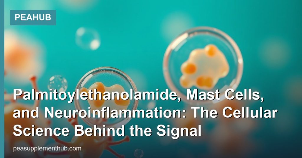 Palmitoylethanolamide, Mast Cells, and Neuroinflammation: The Cellular Science Behind the Signal - PEAHub