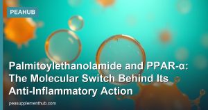 Palmitoylethanolamide and PPAR-α: The Molecular Switch Behind Its Anti-Inflammatory Action