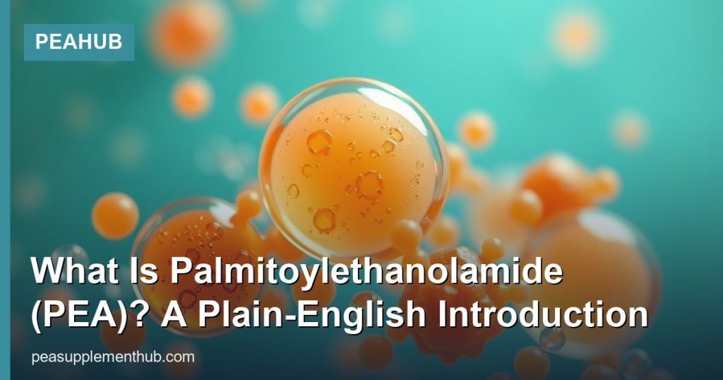 What Is Palmitoylethanolamide (PEA)? A Plain-English Introduction - PEAHub